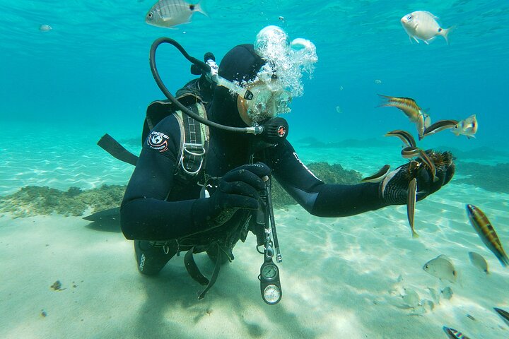 Plongée Al Hoceïma