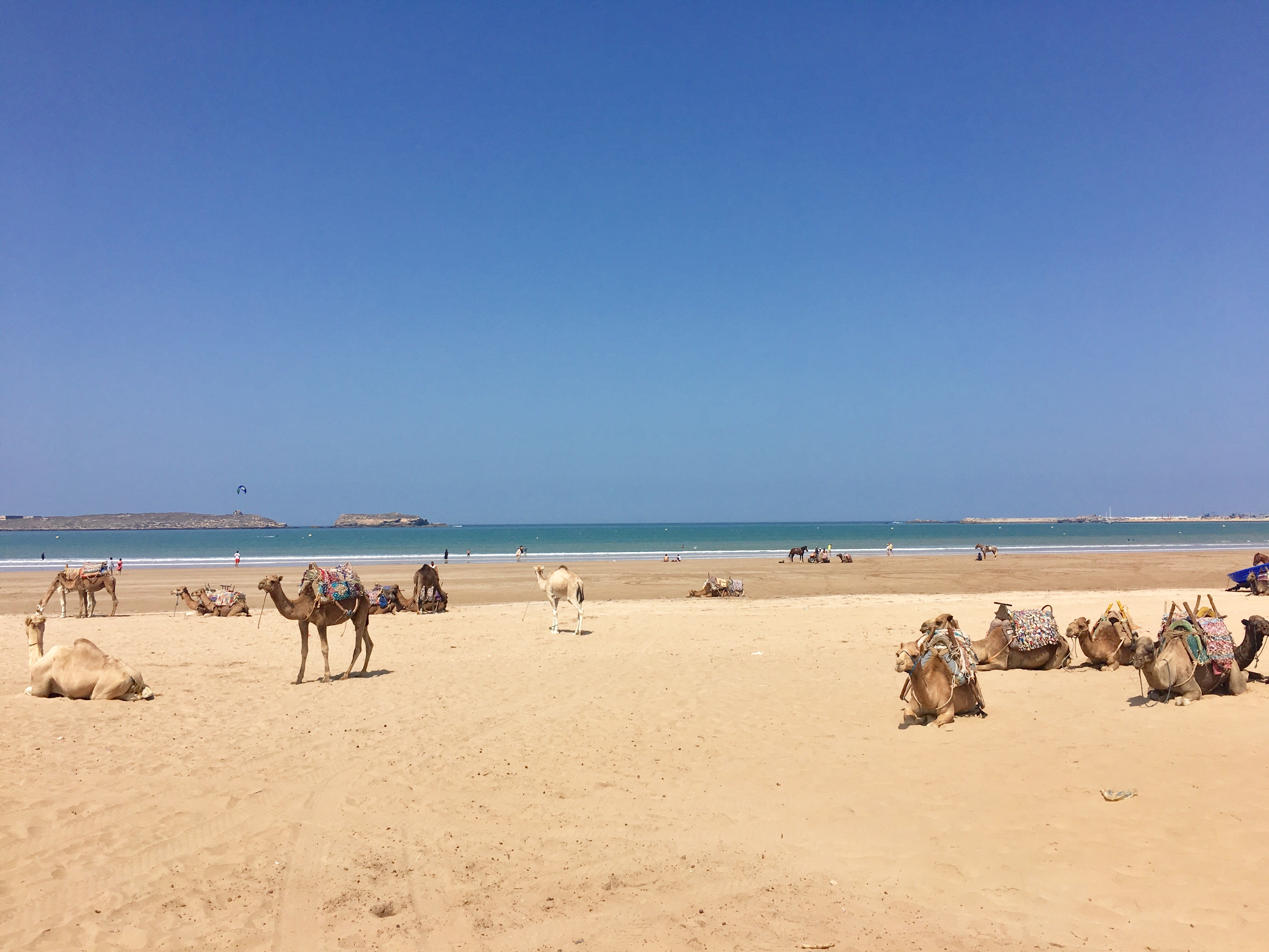 Plage d’Essaouira